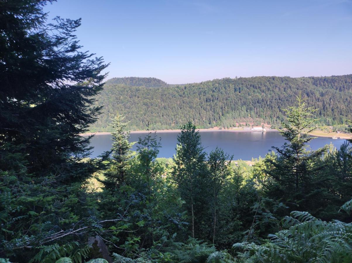 Gite "Fils Et Cotons" Piscine Interieure Chauffee A L'Annee Et Sauna Prive Celles-sur-Plaine Екстер'єр фото